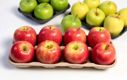 Піднос для яблук з формованої м’якоті